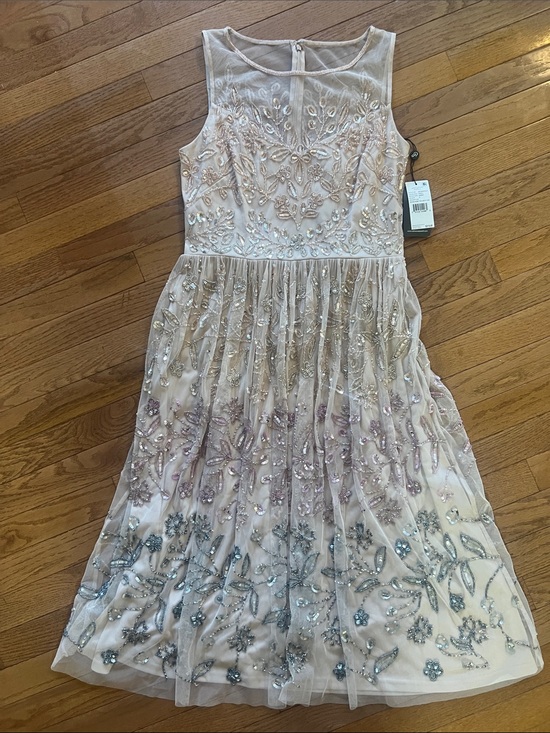 Adrianna Papell Dresses & Skirts - Adrianna Papell Blush Midi Dress with Pink and Silver Beaded Embroidery